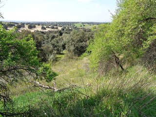 Terreno en venta en Sevilla la Nueva