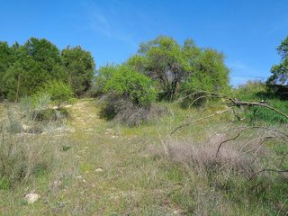 Terreno en venta en Sevilla la Nueva