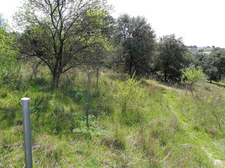 Terreno en venta en Sevilla la Nueva