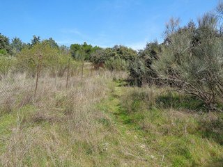 Terreno en venta en Sevilla la Nueva