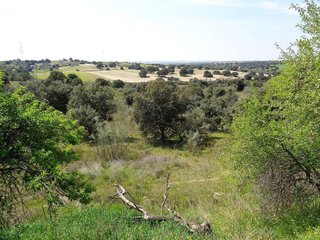Terreno en venta en Sevilla la Nueva