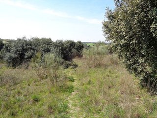 Terreno en venta en Sevilla la Nueva