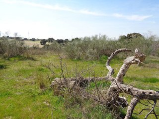 Terreno en venta en Sevilla la Nueva