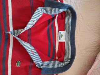 Polo Lacoste, polo Bendorff y camisa Springfield