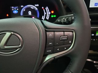 Lexus UX 2.0 300h UX Plus