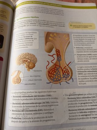 Biología, Geología y Ciencias Ambientales 1 Bac...