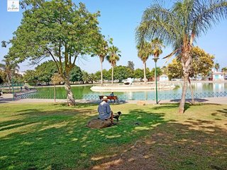 Piso en venta en Parque Ayala - Jardín de la Abadía - Huelín en Málaga