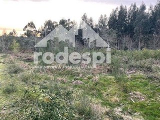Terreno en venta en Cañiza (A)