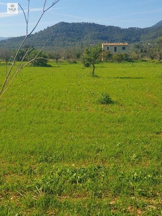 Terreno en venta en Binissalem