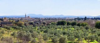 Terreno en venta en Binissalem