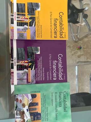 Contabilidad financiera. El modelo contable bás...