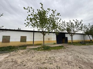 Terreno en venta en Pilas