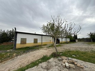 Terreno en venta en Pilas