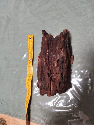 Legno naturale per acquari e terrari non trattato