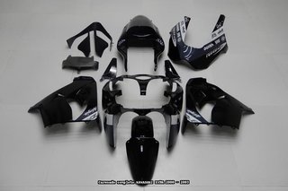 Carenado Avdb KAWASAKI ZX9R 2000 - 2001
