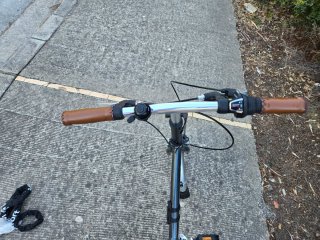 Bicicleta Plegable Boomerang Gris