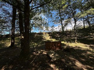 Terreno en venta en Cañiza (A)