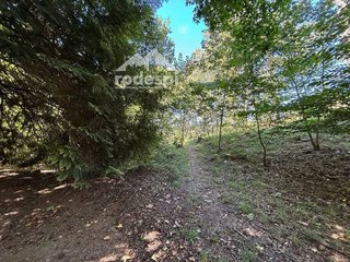 Terreno en venta en Cañiza (A)