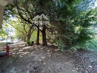 Terreno en venta en Cañiza (A)