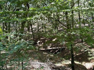 Terreno en venta en Cañiza (A)