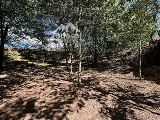 Terreno en venta en Cañiza (A)