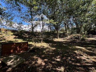 Terreno en venta en Cañiza (A)