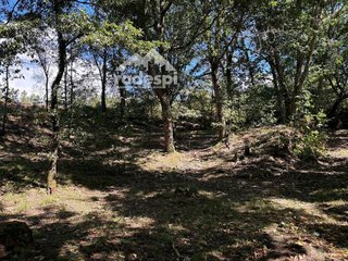 Terreno en venta en Cañiza (A)