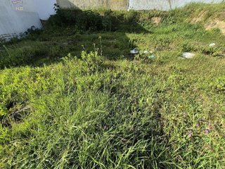 Terreno en venta en Arcos de la Frontera