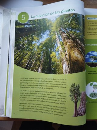 Biología, Geología y Ciencias Ambientales 1 Bac...