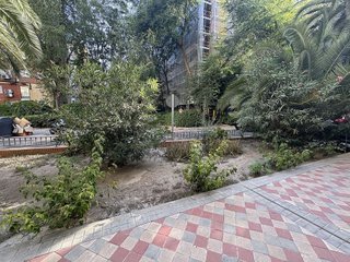 Local comercial en alquiler en Chopera en Madrid