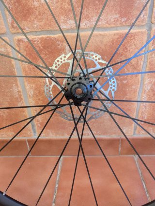 Rueda Delantera Mavic Aksium disco
