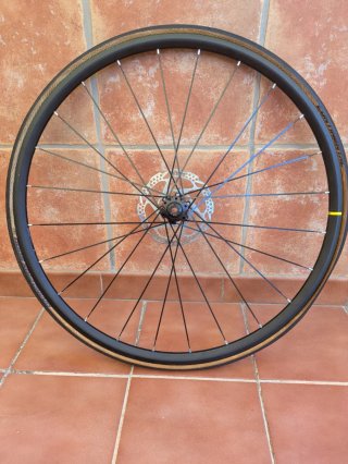 Rueda Delantera Mavic Aksium disco