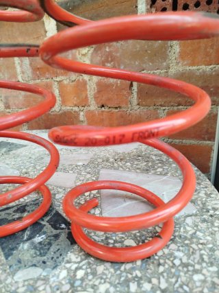 Muelles Selex - 3.5cm Clio 2 Fase 1
