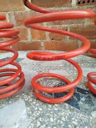 Muelles Selex - 3.5cm Clio 2 Fase 1