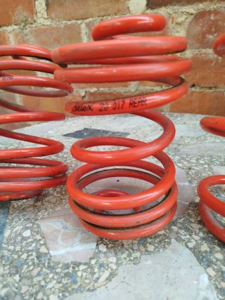 Muelles Selex - 3.5cm Clio 2 Fase 1