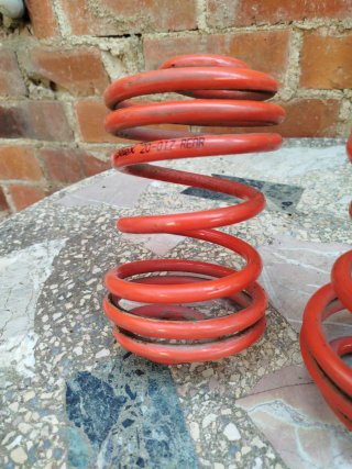 Muelles Selex - 3.5cm Clio 2 Fase 1