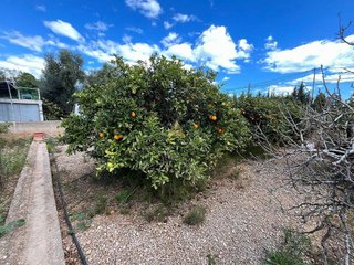 Terreno en venta en Zona Poble en Benicarló