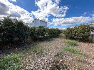 Terreno en venta en Zona Poble en Benicarló