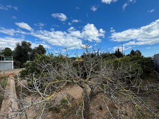 Terreno en venta en Zona Poble en Benicarló