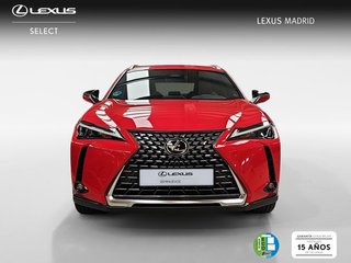 Lexus UX 2.0 300h UX Plus