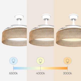 Ventilador Techo con luz, se tienen 3 unidades