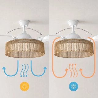 Ventilador Techo con luz, se tienen 3 unidades