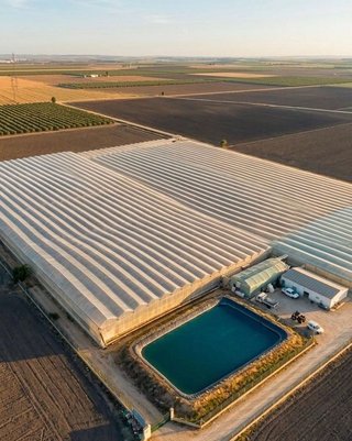 Terreno en venta en Pedanías Sur en Utrera