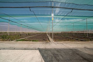 Terreno en venta en Pedanías Sur en Utrera