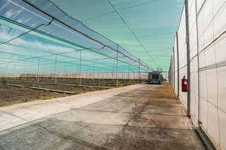 Terreno en venta en Pedanías Sur en Utrera
