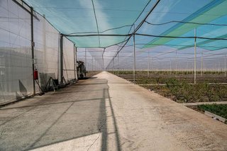 Terreno en venta en Pedanías Sur en Utrera