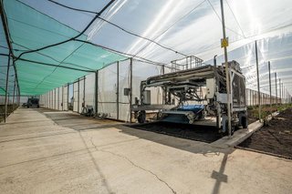 Terreno en venta en Pedanías Sur en Utrera