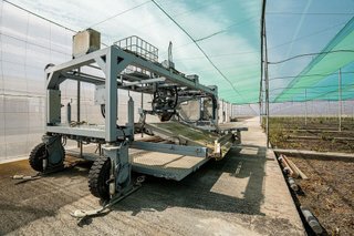 Terreno en venta en Pedanías Sur en Utrera