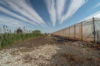 Terreno en venta en Pedanías Sur en Utrera