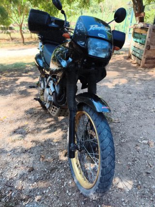Honda Dominator Negra y Dorada